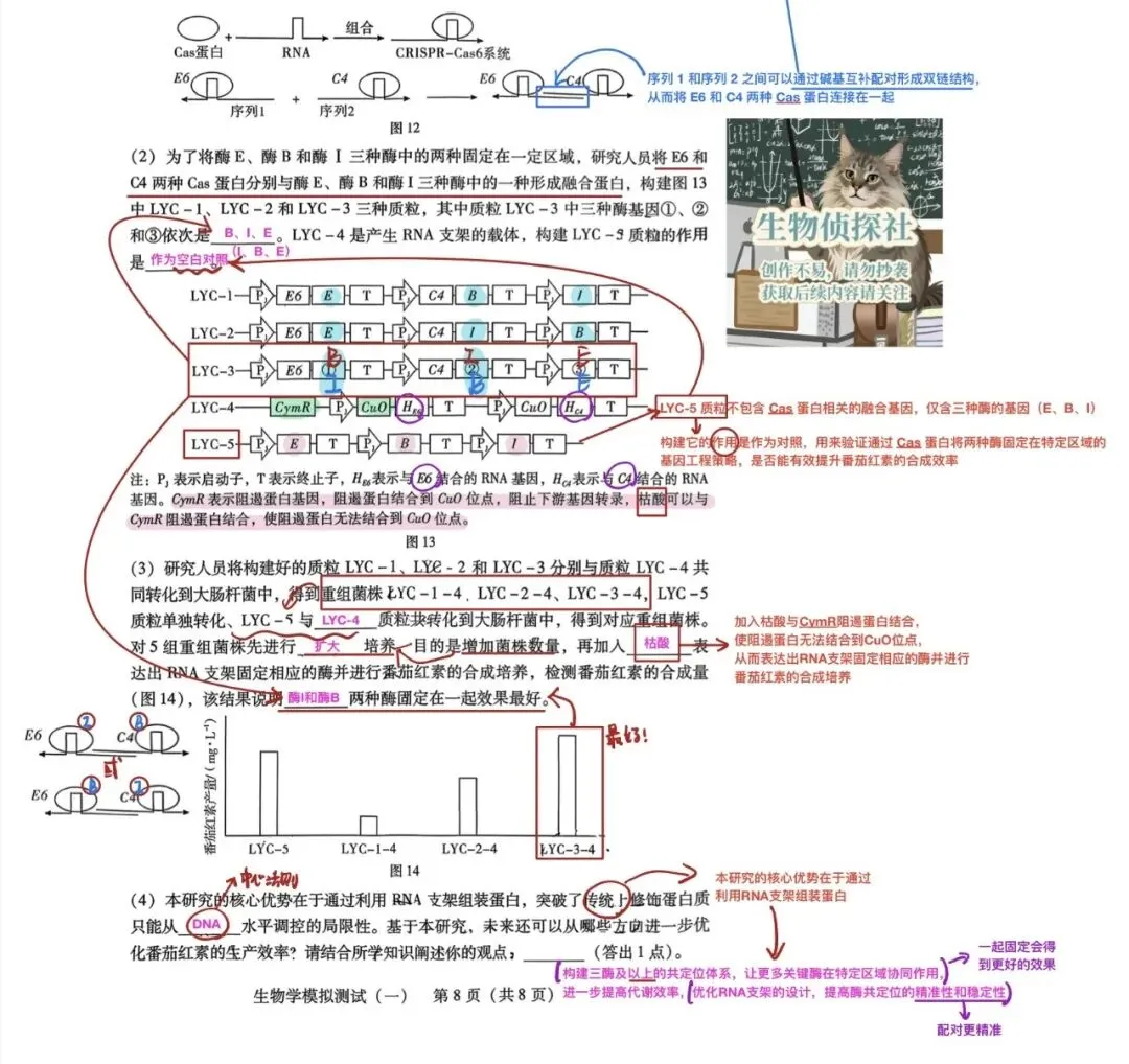 (必练优质卷)2026届广东一模生物试卷(试卷解析) 第8张