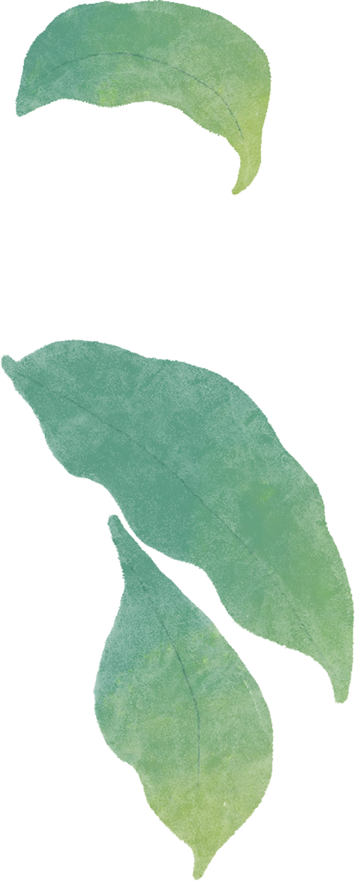 夯基提能,精准发力 --2026年市直中考生物学科第一轮复习研讨活动 第3张