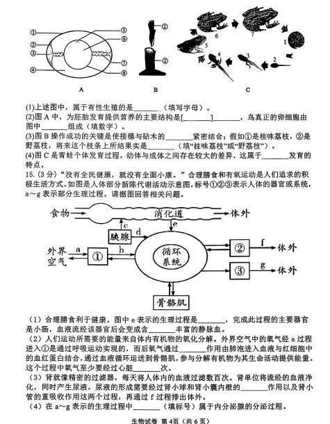 2026年3月锦州八中八年生物中考模拟试卷+答案 第4张