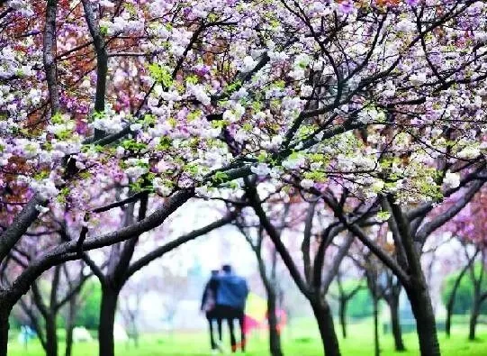 2017金华"乡愁试卷"出炉!测测你的乡愁指数是多少? 第20张 2017金华"乡愁试卷"出炉!测测你的乡愁指数是多少? 第20张