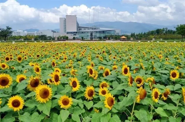 2017金华"乡愁试卷"出炉!测测你的乡愁指数是多少? 第23张 2017金华"乡愁试卷"出炉!测测你的乡愁指数是多少? 第23张