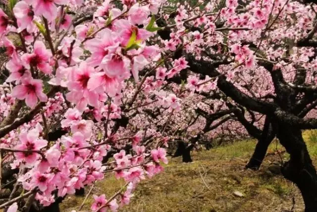 2017金华"乡愁试卷"出炉!测测你的乡愁指数是多少? 第32张 2017金华"乡愁试卷"出炉!测测你的乡愁指数是多少? 第32张