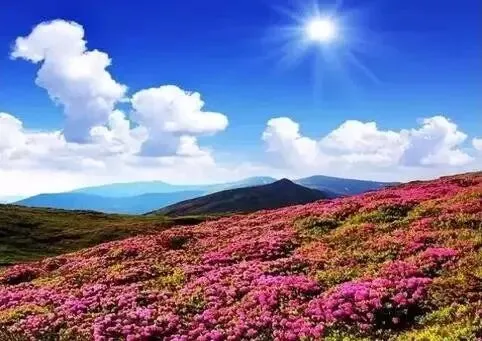 2017金华"乡愁试卷"出炉!测测你的乡愁指数是多少? 第33张 2017金华"乡愁试卷"出炉!测测你的乡愁指数是多少? 第33张