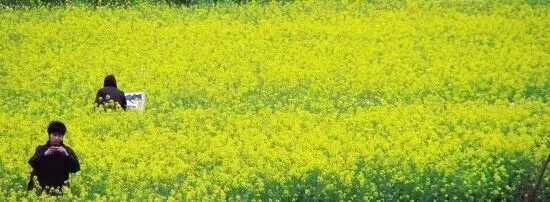 2017金华"乡愁试卷"出炉!测测你的乡愁指数是多少? 第30张 2017金华"乡愁试卷"出炉!测测你的乡愁指数是多少? 第30张