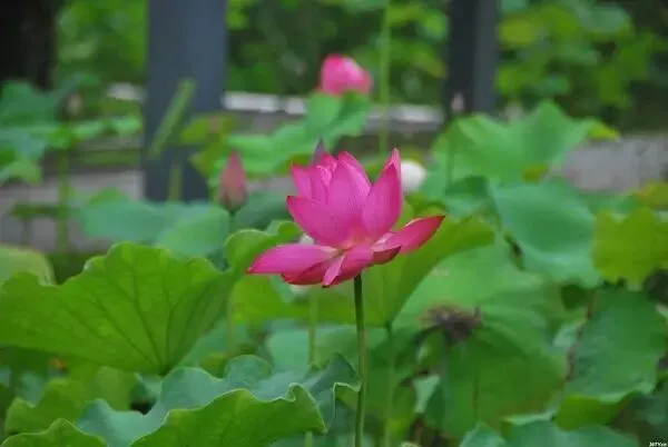 2017金华"乡愁试卷"出炉!测测你的乡愁指数是多少? 第33张 2017金华"乡愁试卷"出炉!测测你的乡愁指数是多少? 第33张