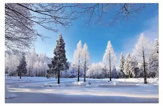 2017金华"乡愁试卷"出炉!测测你的乡愁指数是多少? 第41张 2017金华"乡愁试卷"出炉!测测你的乡愁指数是多少? 第41张