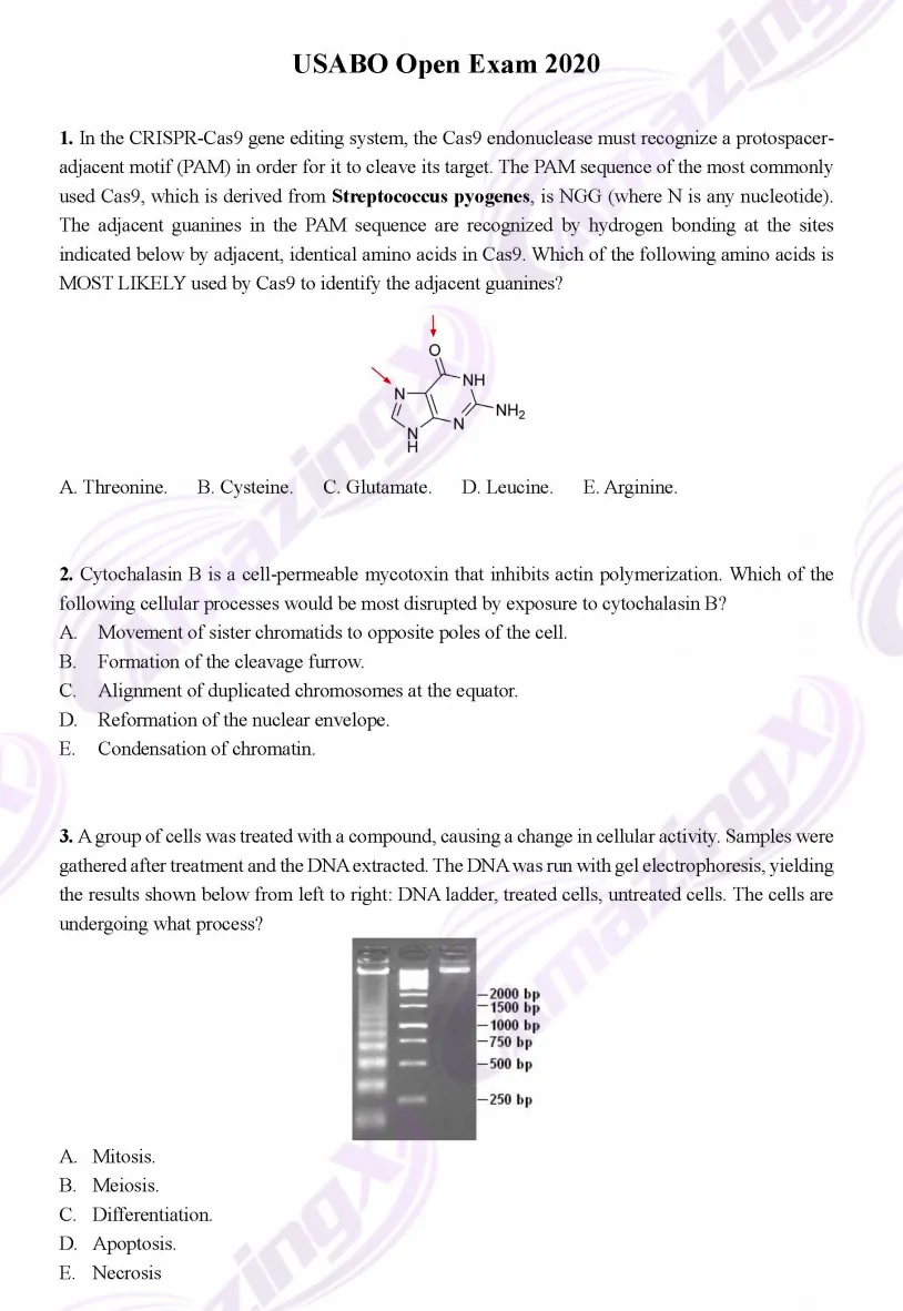 【附真题】USABO 最后冲刺!剩下的时间要如何备赛? 第21张 【附真题】USABO 最后冲刺!剩下的时间要如何备赛? 第21张