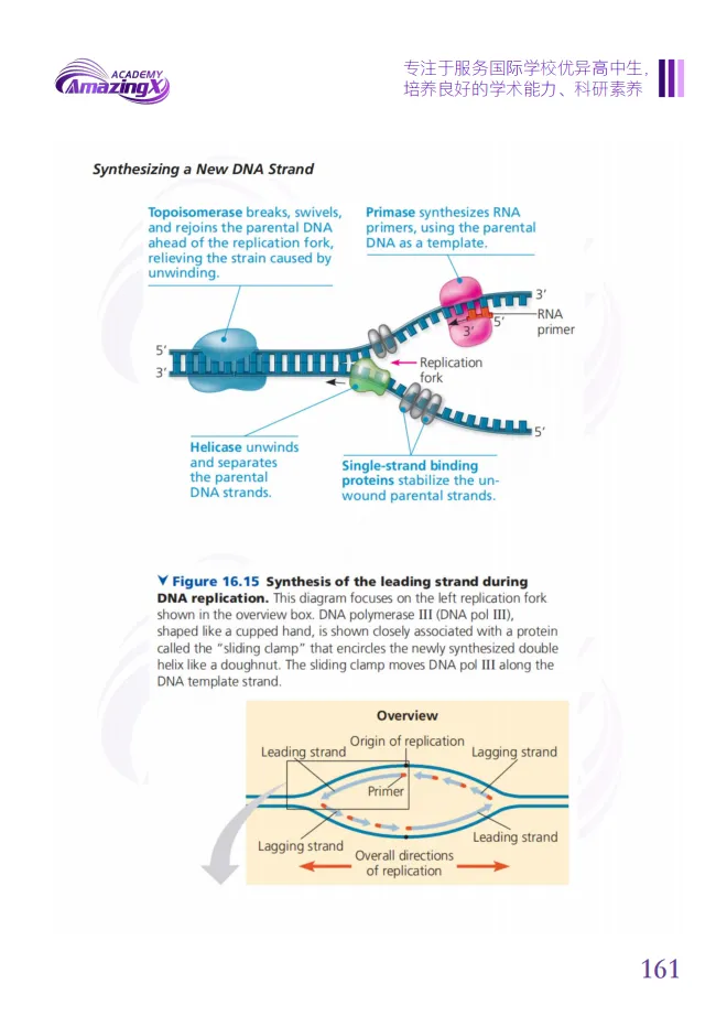 【附真题】USABO 最后冲刺!剩下的时间要如何备赛? 第26张 【附真题】USABO 最后冲刺!剩下的时间要如何备赛? 第26张
