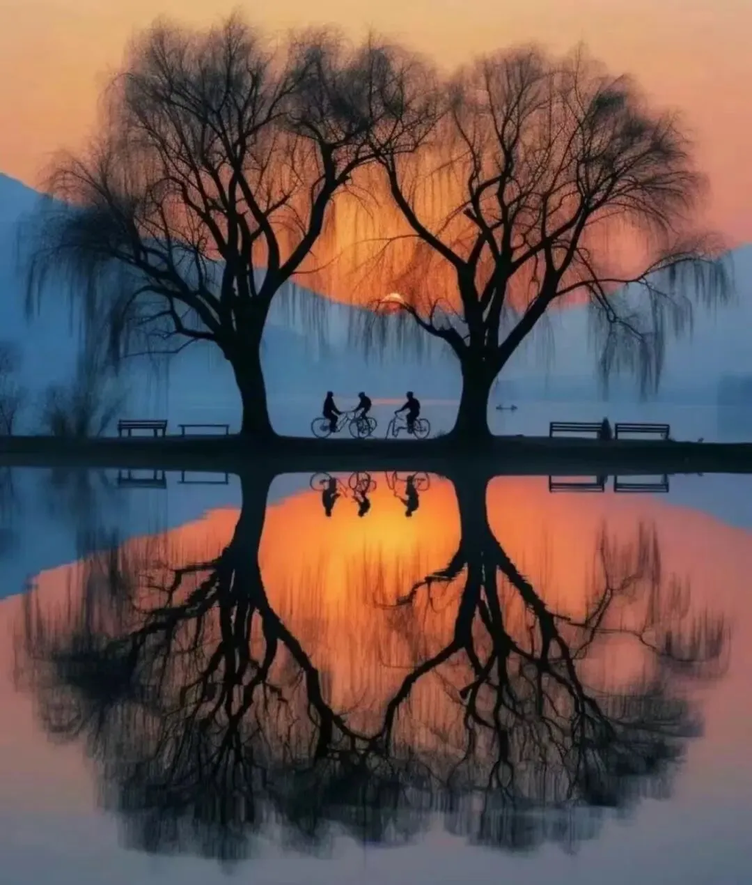 2025北京初三一模真题范文|《不可思议》 第3张