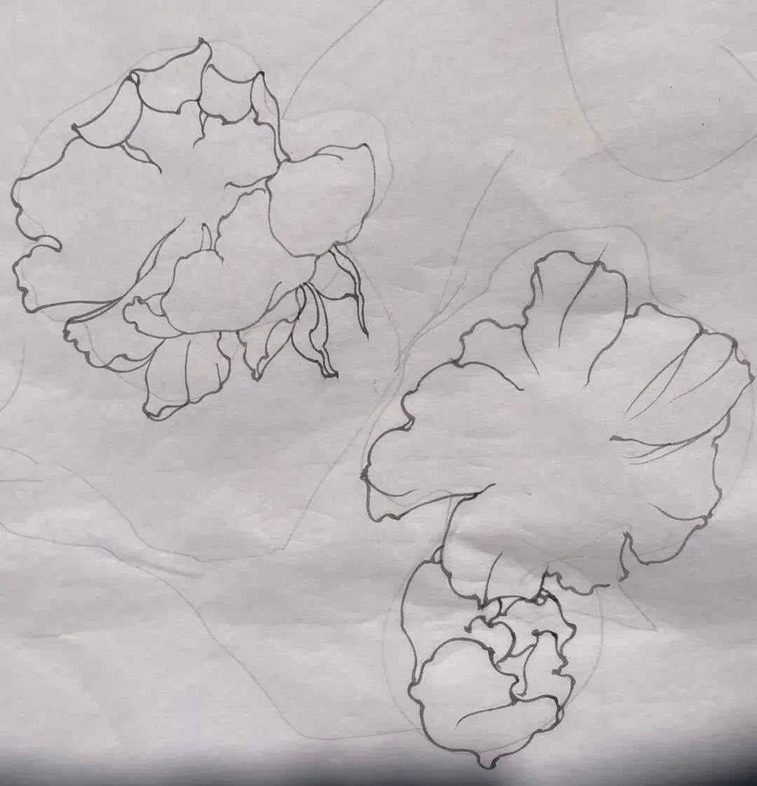 【工笔带画】湖南师范大学26真题《宁静致远》直播步骤示范!内含免费直播观看通道~ 第10张 【工笔带画】湖南师范大学26真题《宁静致远》直播步骤示范!内含免费直播观看通道~ 第10张