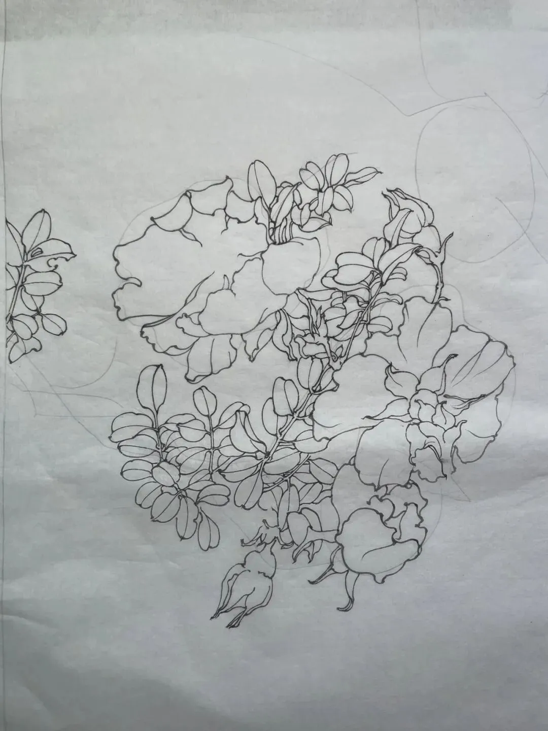 【工笔带画】湖南师范大学26真题《宁静致远》直播步骤示范!内含免费直播观看通道~ 第11张 【工笔带画】湖南师范大学26真题《宁静致远》直播步骤示范!内含免费直播观看通道~ 第11张