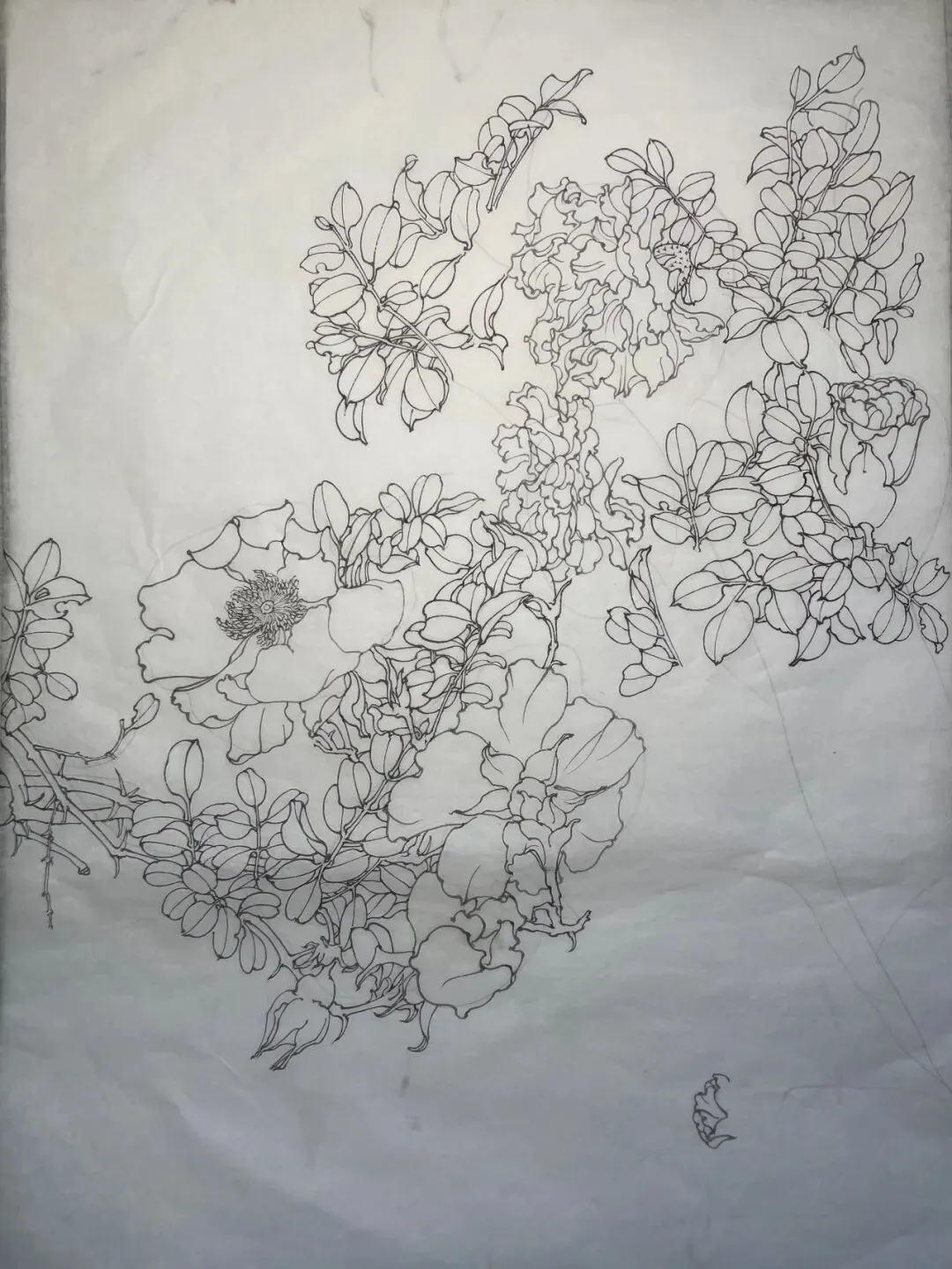 【工笔带画】湖南师范大学26真题《宁静致远》直播步骤示范!内含免费直播观看通道~ 第12张 【工笔带画】湖南师范大学26真题《宁静致远》直播步骤示范!内含免费直播观看通道~ 第12张