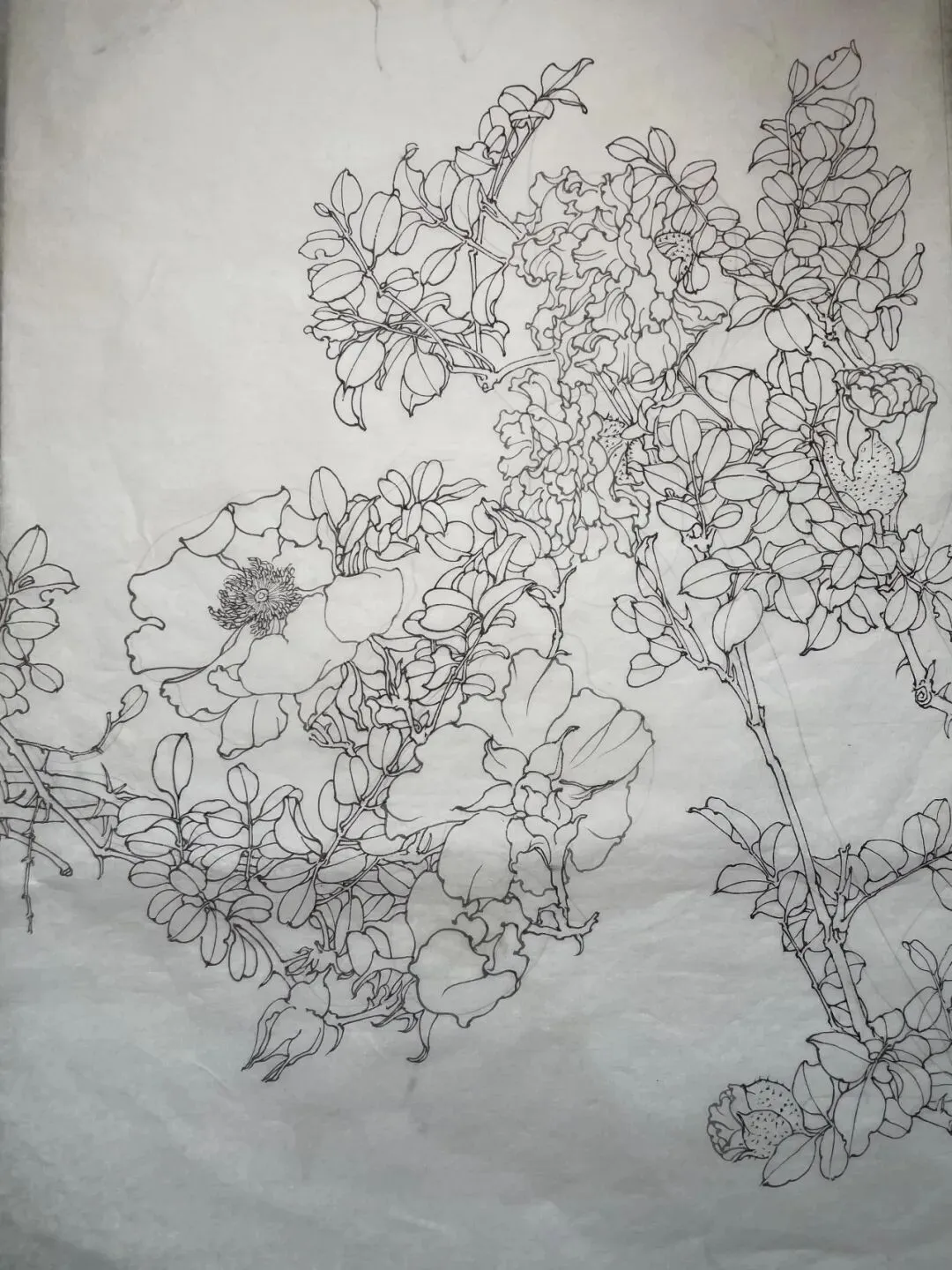 【工笔带画】湖南师范大学26真题《宁静致远》直播步骤示范!内含免费直播观看通道~ 第13张 【工笔带画】湖南师范大学26真题《宁静致远》直播步骤示范!内含免费直播观看通道~ 第13张