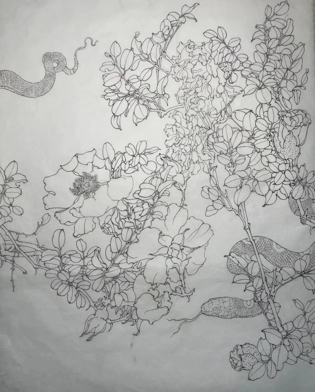 【工笔带画】湖南师范大学26真题《宁静致远》直播步骤示范!内含免费直播观看通道~ 第15张 【工笔带画】湖南师范大学26真题《宁静致远》直播步骤示范!内含免费直播观看通道~ 第15张