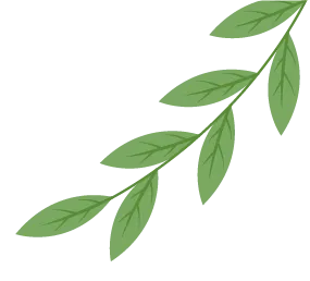 中考冲刺|抓“文”还是抓“理”:谁是“提分”性价比之王?这位同学这样说…… 第4张