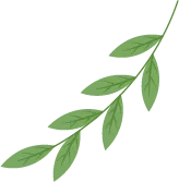 中考冲刺|抓“文”还是抓“理”:谁是“提分”性价比之王?这位同学这样说…… 第6张