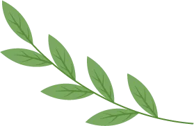 中考冲刺|抓“文”还是抓“理”:谁是“提分”性价比之王?这位同学这样说…… 第14张