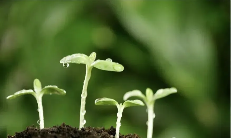 【中考真题】2026内蒙古包头昆区三校联考(数学卷) 第6张