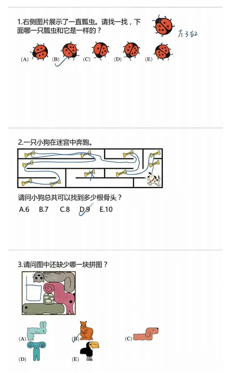 √2026年袋鼠竞赛(A-C等级)真题+答案解析!袋鼠竞赛结束后还有哪些高含金量数学竞赛可以参加? 第4张 √2026年袋鼠竞赛(A-C等级)真题+答案解析!袋鼠竞赛结束后还有哪些高含金量数学竞赛可以参加? 第4张