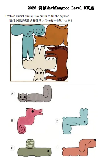 √2026年袋鼠竞赛(A-C等级)真题+答案解析!袋鼠竞赛结束后还有哪些高含金量数学竞赛可以参加? 第9张 √2026年袋鼠竞赛(A-C等级)真题+答案解析!袋鼠竞赛结束后还有哪些高含金量数学竞赛可以参加? 第9张