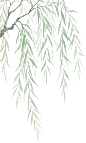 策马奋进研中考 精准施策启新程——星星中学初三教师赴长沙参加2026年春季命题研讨会 第2张