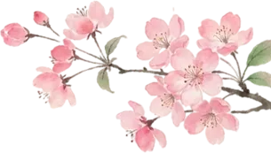 策马奋进研中考 精准施策启新程——星星中学初三教师赴长沙参加2026年春季命题研讨会 第3张