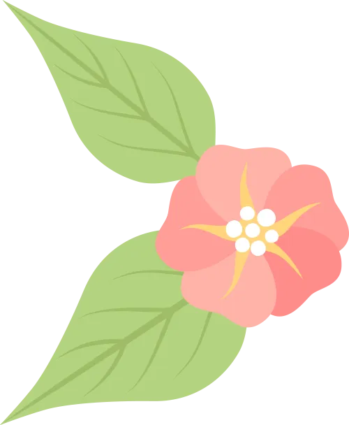 26广东专升本教育理论真题速查比对【笔记速对】 第15张 26广东专升本教育理论真题速查比对【笔记速对】 第15张