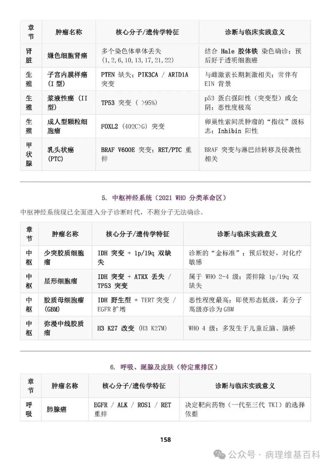 【滴滴,开车】病理中级重点知识和模拟试卷 第30张