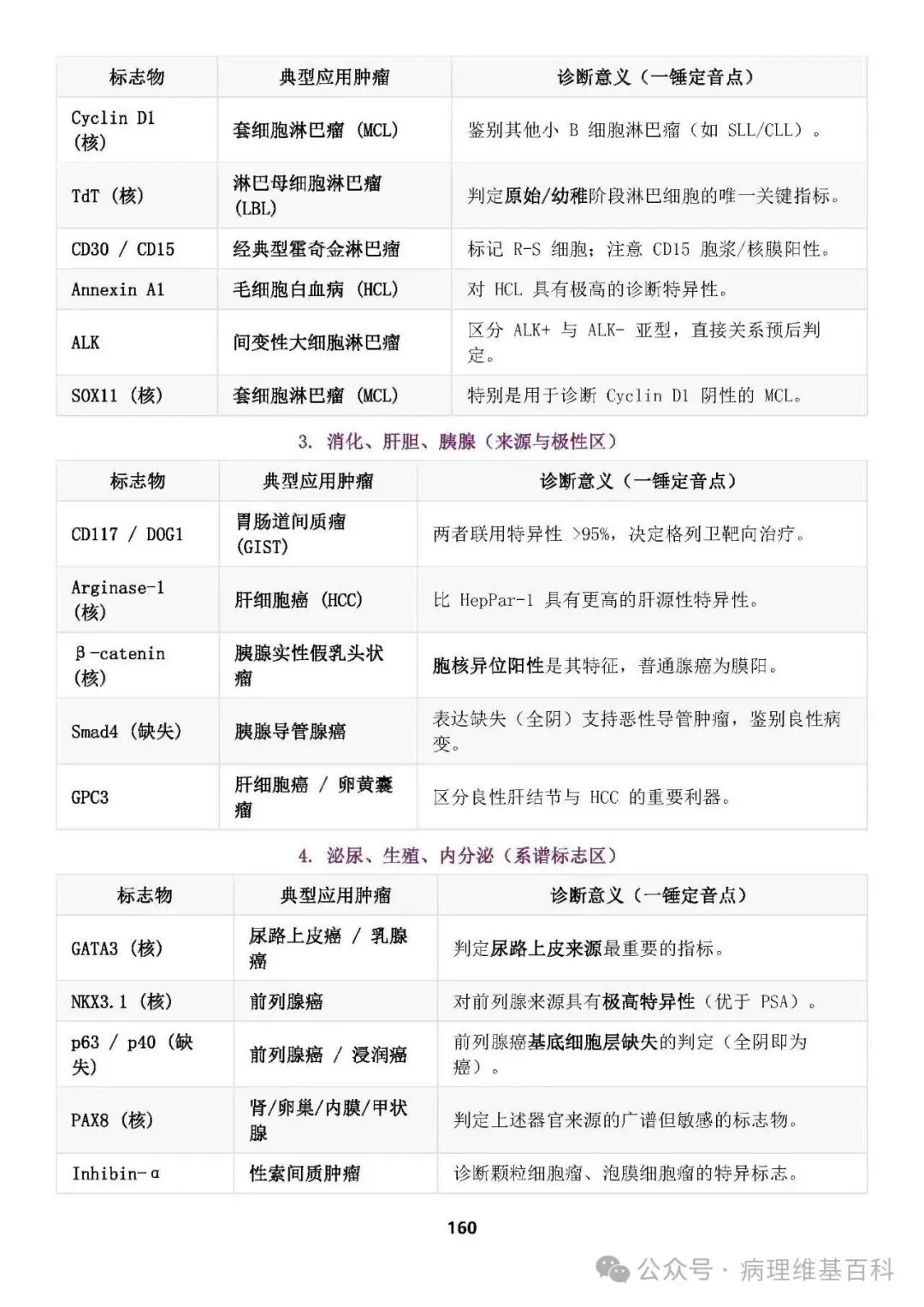 【滴滴,开车】病理中级重点知识和模拟试卷 第32张