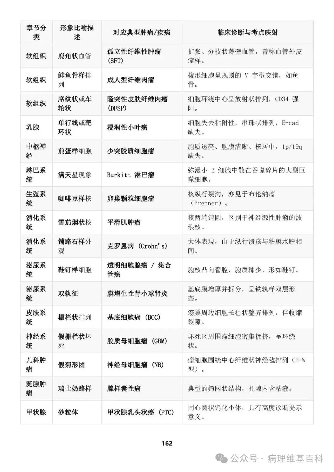 【滴滴,开车】病理中级重点知识和模拟试卷 第34张