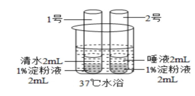 2026年生物中考总复习试卷 第2张