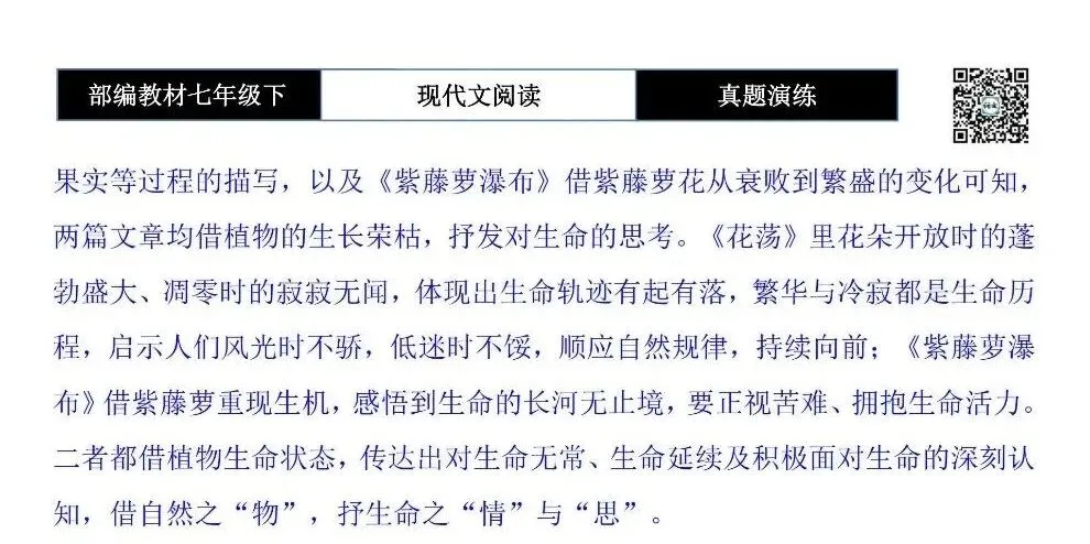 【现代文阅读-真题演练】七年级下-36-花荡-思维导图+试题精析 第10张