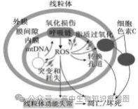 哈三中2026年高三学年第一次模拟考试生物学试题和答案 ⊙ 第7张