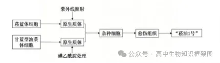哈三中2026年高三学年第一次模拟考试生物学试题和答案 ⊙ 第10张