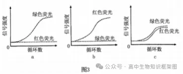 哈三中2026年高三学年第一次模拟考试生物学试题和答案 ⊙ 第16张