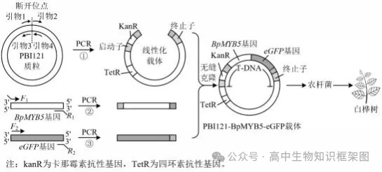 哈三中2026年高三学年第一次模拟考试生物学试题和答案 ⊙ 第17张