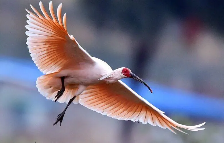 中考作文《相互成全》怎么写?这两篇高分作文,给了我们答案 第1张 中考作文《相互成全》怎么写?这两篇高分作文,给了我们答案 第1张