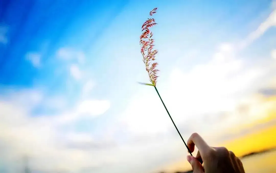 中考作文高分突破|《原来,这事没那么简单》 第9张