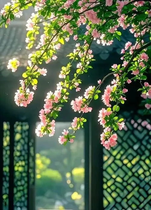 2026年中考模拟考试化学试题1 第8张