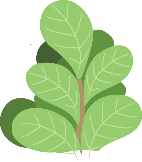 一篇吃透英语名词!全网最全考点梳理+真题实战(建议收藏) 第9张