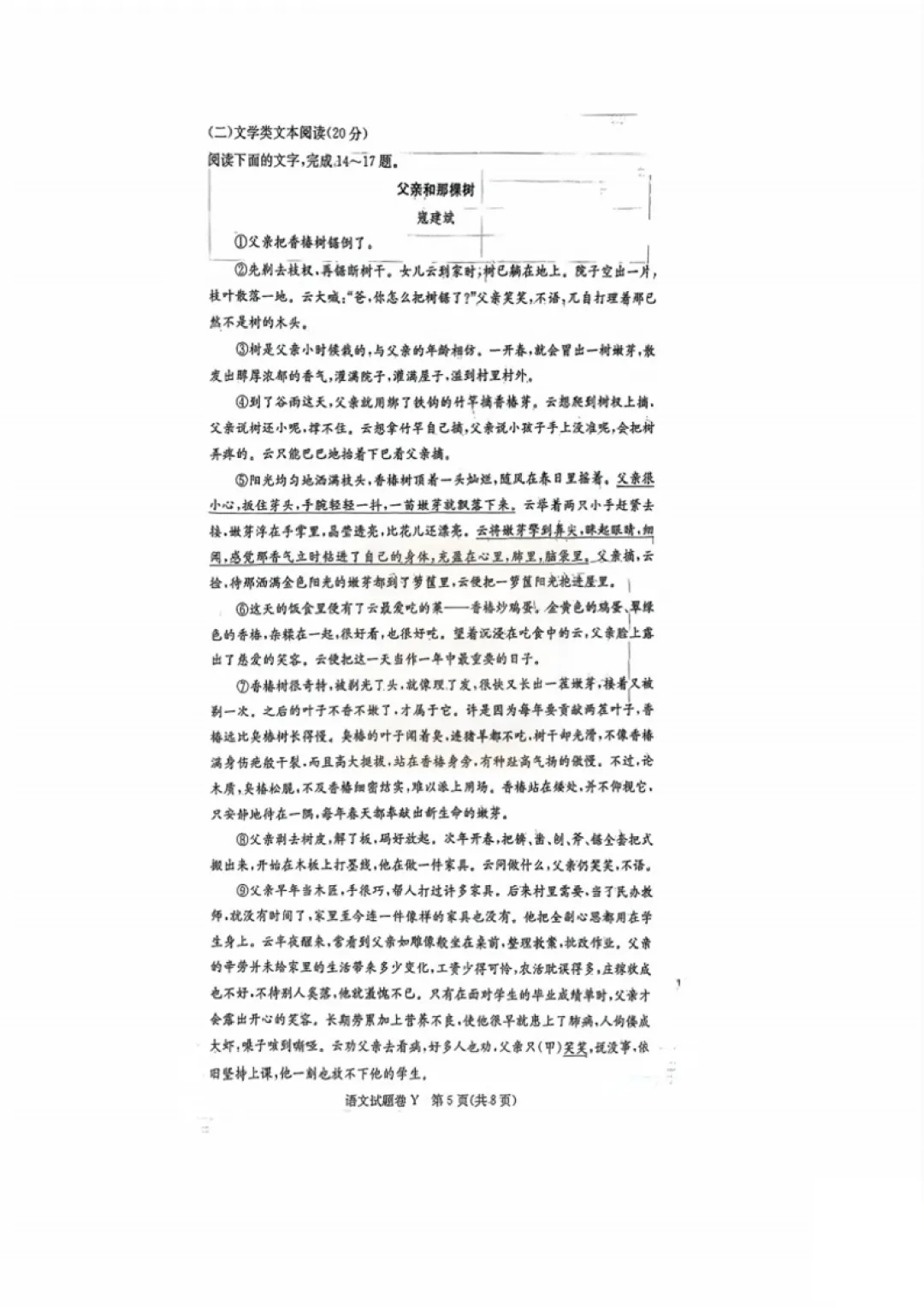 【试卷】24-25学年长沙一中教育集团初一(下)期中语文真题及答案(免费领取) 第5张