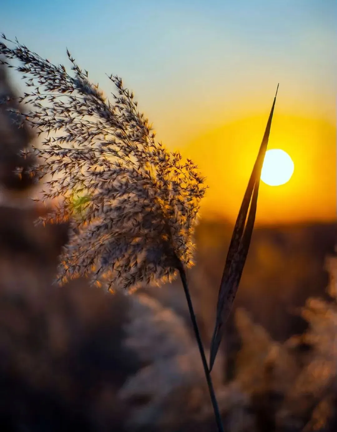 【中考模拟】2026年山西省中考名校模拟(3月卷)英语试卷听力答案 第14张