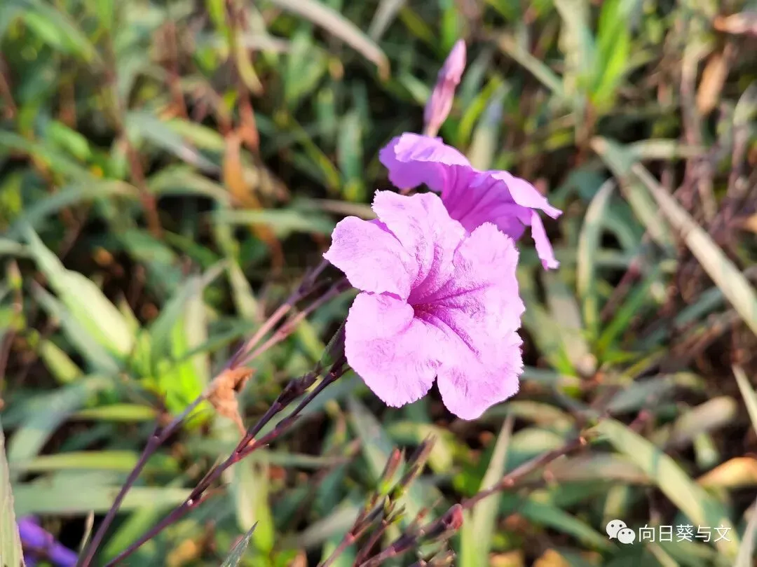 2024九年级下册3月联考(第6周)试卷 第9张