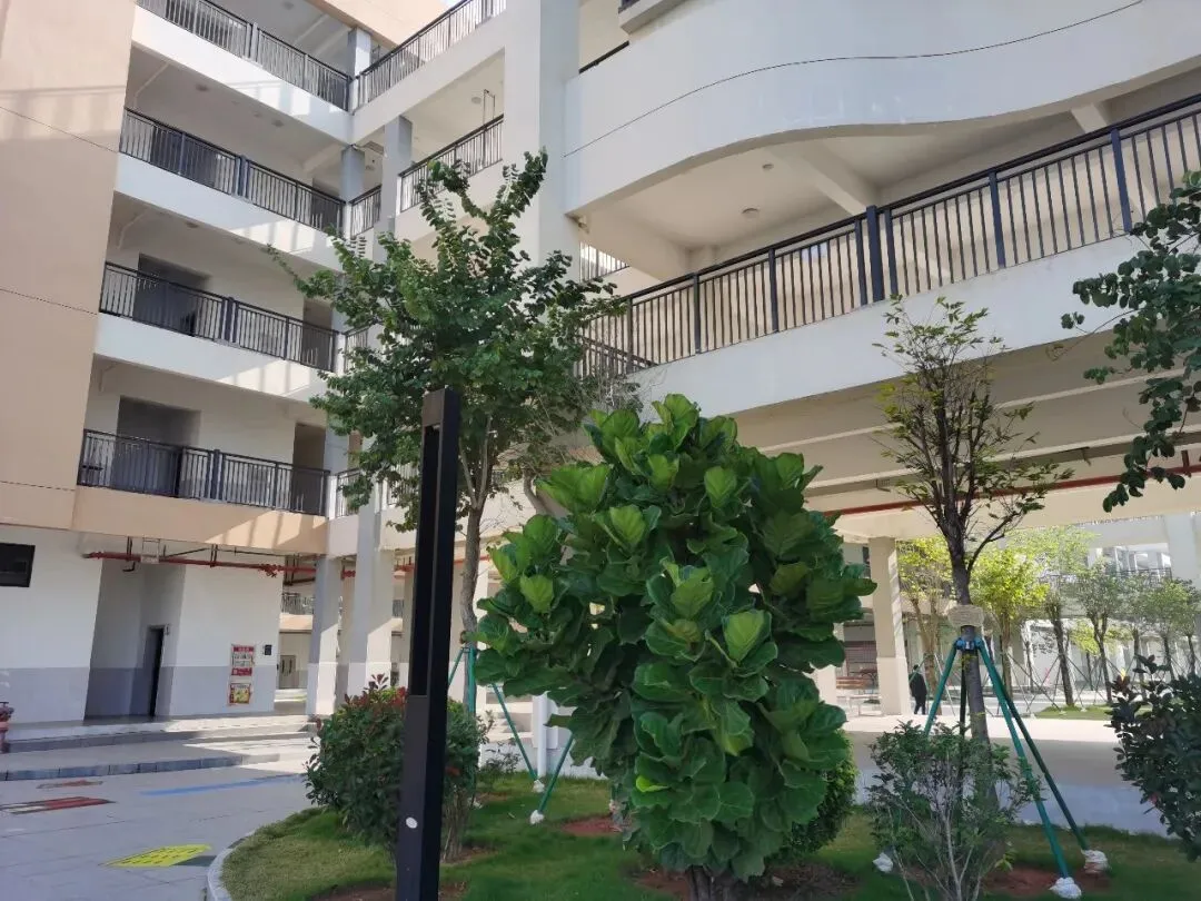 2024八年级下册3月月考(第6周)试卷 第3张