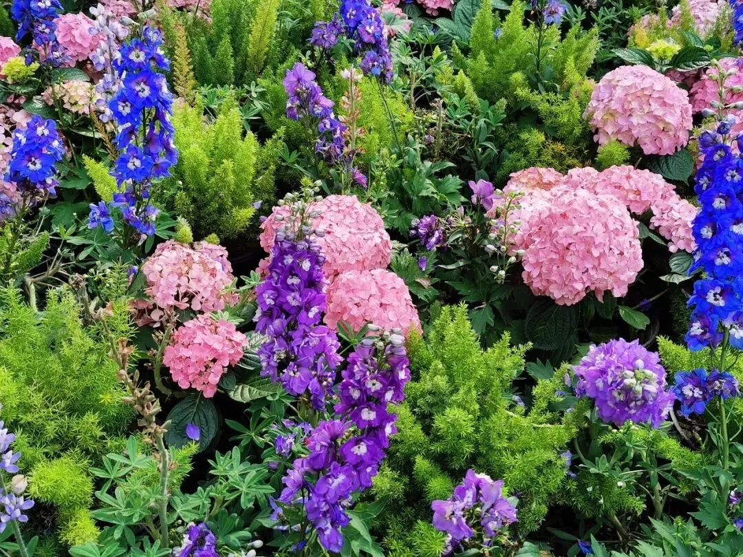 2024七年级下册3月月考(第6周)试卷 第3张