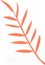 26春小学生毕业升学必做的16套试卷语文数学英语(附下载链接) 第5张