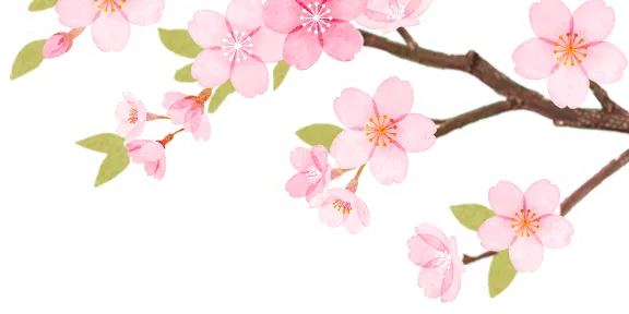 寻梦者教育专属|中考清明逆袭计划!语数英物化每日任务直接抄作业 第7张 寻梦者教育专属|中考清明逆袭计划!语数英物化每日任务直接抄作业 第7张