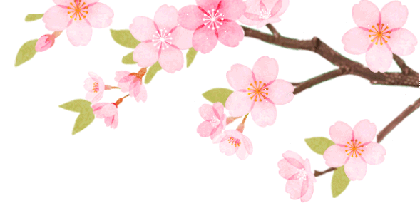 寻梦者教育专属|中考清明逆袭计划!语数英物化每日任务直接抄作业 第8张 寻梦者教育专属|中考清明逆袭计划!语数英物化每日任务直接抄作业 第8张