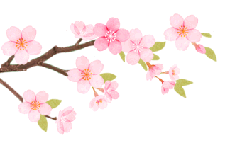 寻梦者教育专属|中考清明逆袭计划!语数英物化每日任务直接抄作业 第22张 寻梦者教育专属|中考清明逆袭计划!语数英物化每日任务直接抄作业 第22张