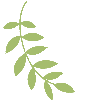 【凝心聚力迎中考,家校同心向新程】溆浦县圣达学校2026届九年级家长会 第13张